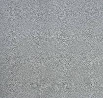 Линолеум Lg Calmpasso CP 93508 фото 1 | FLOORDEALER