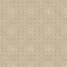 Agnella Natural Dolomit Dark Beige фото 1 | FLOORDEALER