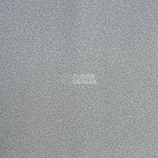 Линолеум Lg Calmpasso CP 93508 фото 1 | FLOORDEALER