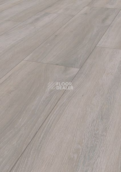 Ламинат Terhurne Trend Line 327мм 1850  Дуб Серебристо-Серый  1101021686 фото 1 | FLOORDEALER