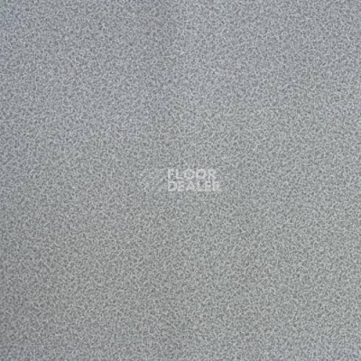 Линолеум Lg Calmpasso CP 93508 фото 1 | FLOORDEALER