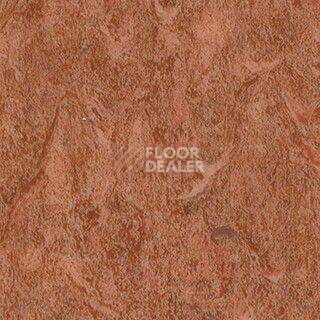 Линолеум Grabo Diamond Standart Forte 4213-455 фото 1 | FLOORDEALER