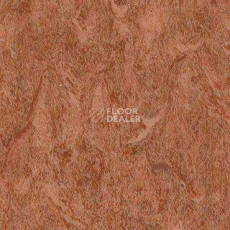 Линолеум Grabo Diamond Standart Forte 4213-455 фото 1 | FLOORDEALER