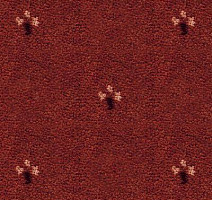 Ковролин Balta ITC Palace New 64 фото 1 | FLOORDEALER