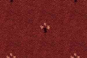 Ковролин Balta ITC Palace New 64 фото  | FLOORDEALER