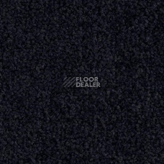 Ковролин Balsan Bolero 999 фото 1 | FLOORDEALER