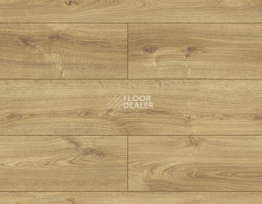 Ламинат Kronopol Platinium Holiday AQUA BLOCK 8mm Kronopol Platinium Holiday Aqua Block 24h Дуб Тайланд D40164 фото 1 | FLOORDEALER