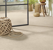 Vorwerk Superior 1065/Viola Vorwerk 6c72 фото 2 | FLOORDEALER