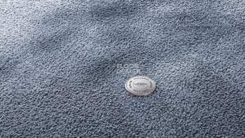 Ковролин Vorwerk Superior 1067 Mira Vorwerk 3q76 фото 1 | FLOORDEALER