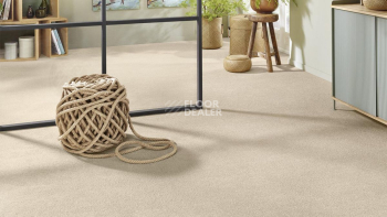 Vorwerk Superior 1065/Viola Vorwerk 6c72 фото 2 | FLOORDEALER