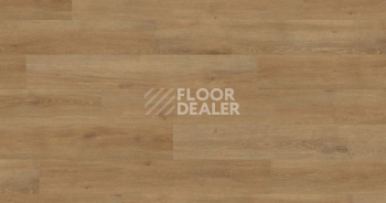 Ламинат Haro Tritty 200 Aqua 4V ДУБ ВЕНЕТО НАТУР 540246 фото 1 | FLOORDEALER