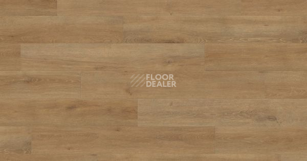 Ламинат Haro Tritty 200 Aqua 4V ДУБ ВЕНЕТО НАТУР 540246 фото 1 | FLOORDEALER