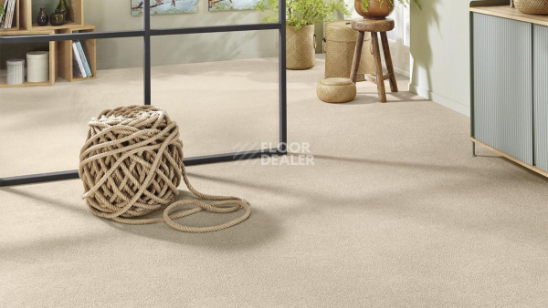 Vorwerk Superior 1065/Viola Vorwerk 6c72 фото 2 | FLOORDEALER