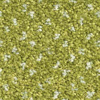 Balsan Capitol Capitol 250 фото 1 | FLOORDEALER