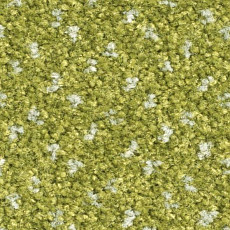 Ковролин Balsan Capitol Capitol 250 фото 1 | FLOORDEALER