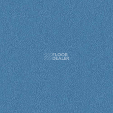 Линолеум Graboflex Gymfit 60 6170_00_279 фото 1 | FLOORDEALER