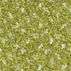 Ковролин Balsan Capitol Capitol 250 фото 1 | FLOORDEALER