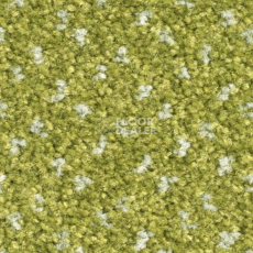 Ковролин Balsan Capitol Capitol 250 фото 1 | FLOORDEALER