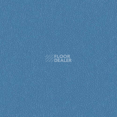 Линолеум Graboflex Gymfit 60 6170_00_279 фото 1 | FLOORDEALER