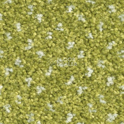 Ковролин Balsan Capitol Capitol 250 фото 1 | FLOORDEALER