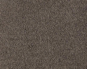 Ковролин Lano Boheme 270 Almond фото 1 | FLOORDEALER