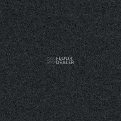 Ковролин Finett Feinwerk 803507 фото 1 | FLOORDEALER