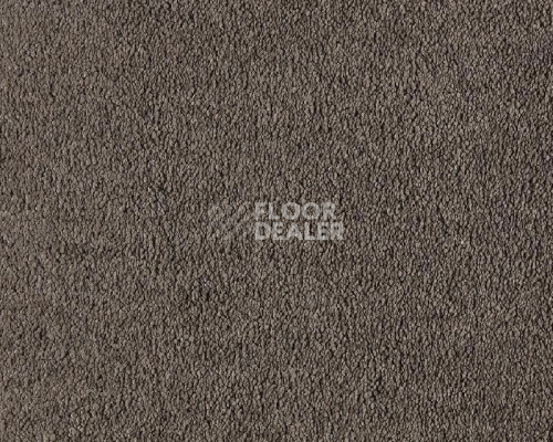 Ковролин Lano Boheme 270 Almond фото 1 | FLOORDEALER