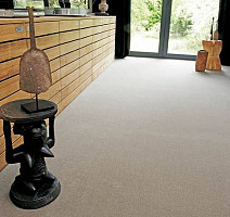 Condor Carpets Cotton Dream