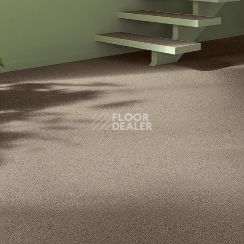 Vorwerk Essential 1031 Vorwerk 8j82 фото 2 | FLOORDEALER