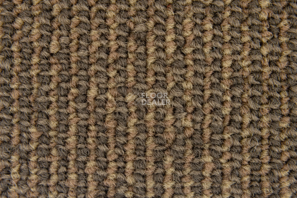 Escom Coral 5402 фото 3 | FLOORDEALER