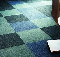 Ruscarpettiles Dublin