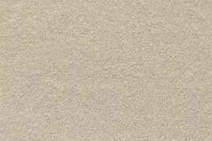 Ковролин AW Confidence 05 фото  | FLOORDEALER