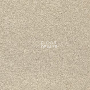 Ковролин AW Confidence 05 фото 1 | FLOORDEALER