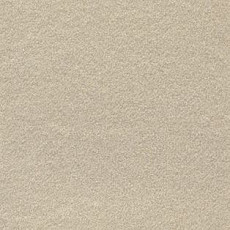 Ковролин AW Confidence 05 фото 1 | FLOORDEALER