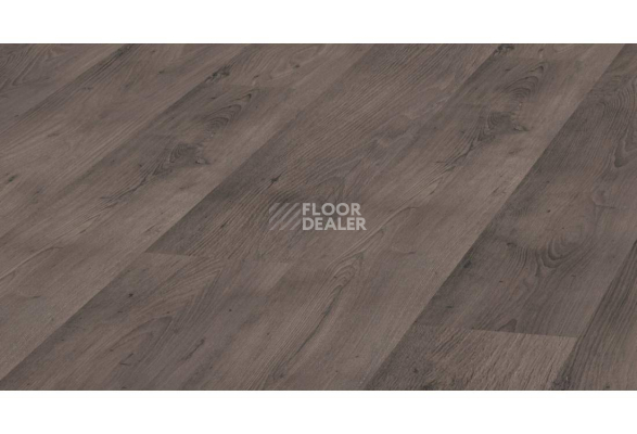 Ламинат Kronopol Aurum Vision d3343 Дуб Скальный фото 1 | FLOORDEALER