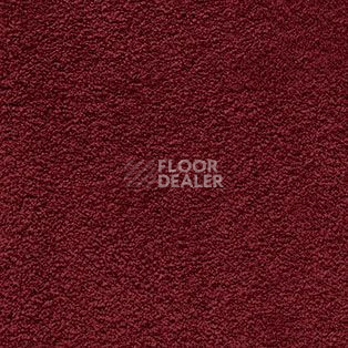 Ковролин AW Softissimo 19 фото 1 | FLOORDEALER