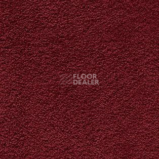 Ковролин AW Softissimo 19 фото 1 | FLOORDEALER