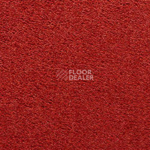 Ковролин Condor Carpets Antartica 232 фото 1 | FLOORDEALER