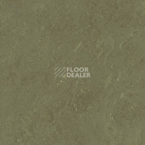 Линолеум Gerflor Marmorette DLW  2mm 0138 Khaki фото 1 | FLOORDEALER