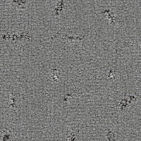 Ковролин Balsan Elite 920 фото 1 | FLOORDEALER