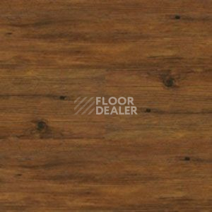 Линолеум Polyflor Expona Wood 6153 фото 1 | FLOORDEALER