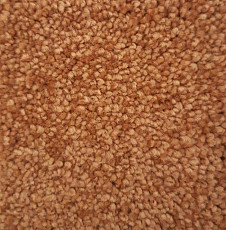 Ковролин Condor Carpets Dynasty 55 фото 1 | FLOORDEALER