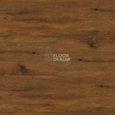 Линолеум Polyflor Expona Wood 6153 фото 1 | FLOORDEALER