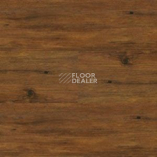 Линолеум Polyflor Expona Wood 6153 фото 1 | FLOORDEALER
