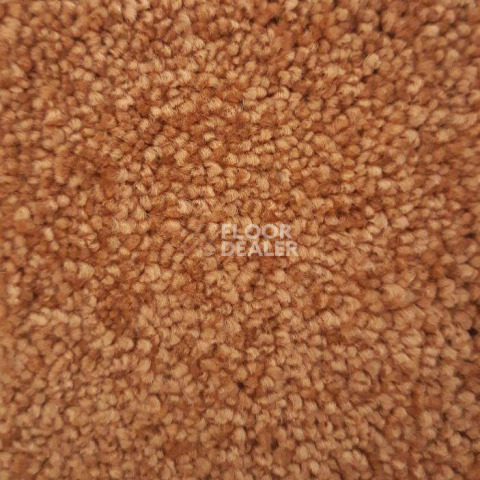 Ковролин Condor Carpets Dynasty 55 фото 1 | FLOORDEALER