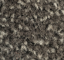 Forbo Coral Classic 4764 Taupe фото 2 | FLOORDEALER