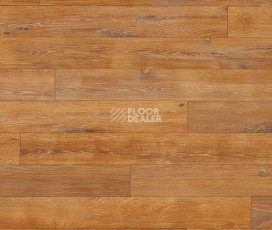 Линолеум Novoflor Extra Wood 2017-4 фото 1 | FLOORDEALER