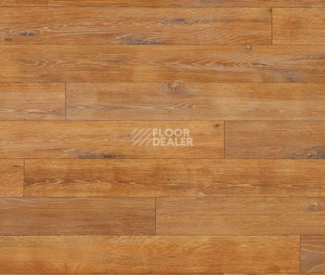 Линолеум Novoflor Extra Wood 2017-4 фото 1 | FLOORDEALER