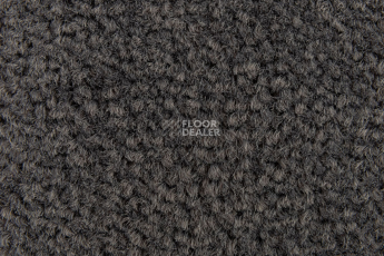 Balsan Les Best S 992 фото 2 | FLOORDEALER