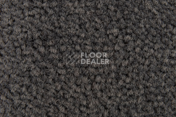 Balsan Les Best S 992 фото 2 | FLOORDEALER